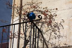 78-Lecce,26 aprile 2013